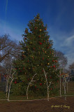Peddlers Village court yard Christmas tree