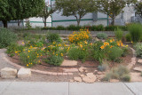Oasis Garden (2620)