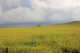 USA National Grassland 10.jpg