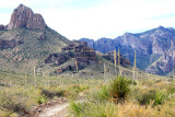 View-7-Pine-Canyon-Trail.jpg