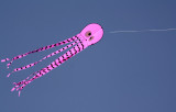 kite-3.jpg