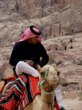 Camel driver 3