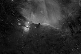 Horse Head Nebula Ha