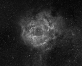 Rosette Nebula HA