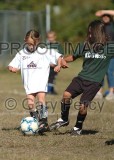 youth_soccer10_7269.jpg