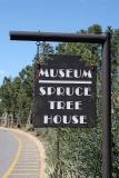 Spruce Tree House