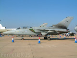 Panavia Tornado  F3   ZE160/TX   No.25 Sqdn.