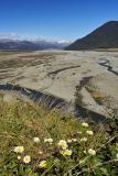 The upper Waimakariri River