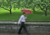 Rain in Beijing, China, 2009