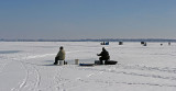 Muskegonites perched on buckets