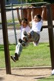 IMG_4118web.jpg