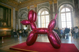 Balloon Dog