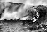 Surfs UP Santa Cruz, Ca