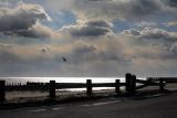 Long Island Sound