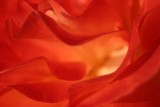 Inside Red Flower