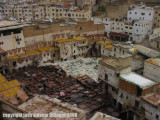 tanneries