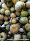 tomatillos