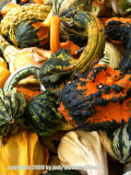 gourds