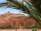 ait ben haddou kasbah with palm