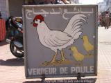 chicken sign, rabat, morocco