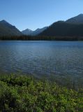 Loon Lake 095.jpg