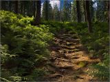 Beskidy pathway