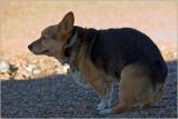 _MG_2524.jpg