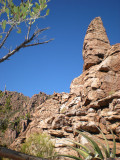 DSCN0552.jpg