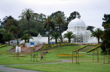 01-09-Conservatory of Flowers
