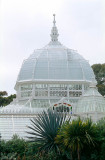 01-15-Conservatory of Flowers