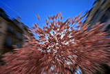 Paris Spring