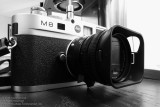 M8 & Summilux-M 35 F1.4