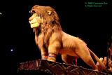 Lion King Show 2.jpg