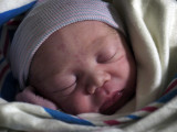 Ethan, 2/16/09, 10:11 am, 7 lbs. 3 oz.