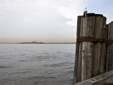 Sunrise, New York Harbor