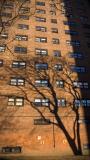 Broadway #673