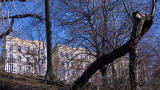 Riverside #896