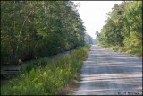 1848 Alligator River NWR.jpg