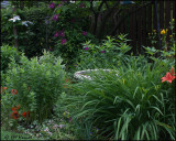 1371 June Garden.jpg