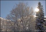 0757 Snow and Ice.jpg