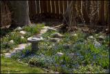 2098 Scilla.jpg