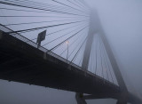ANZAC Bridge Fog 4