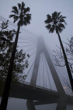 ANZAC Bridge Fog 5