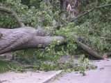 DSCN5751.JPG