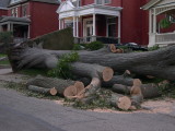 wind_storm_2008