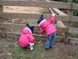 pictures_200812