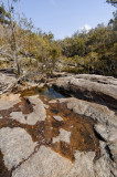 Small pool (DSC_1046)