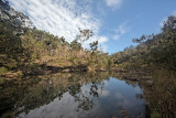 Swimming hole with reflections IMG_0911