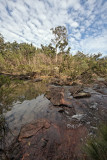 Swimming hole IMG_0929