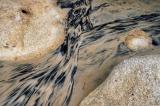 blacksand creek and rocks<p>_DSC0181
